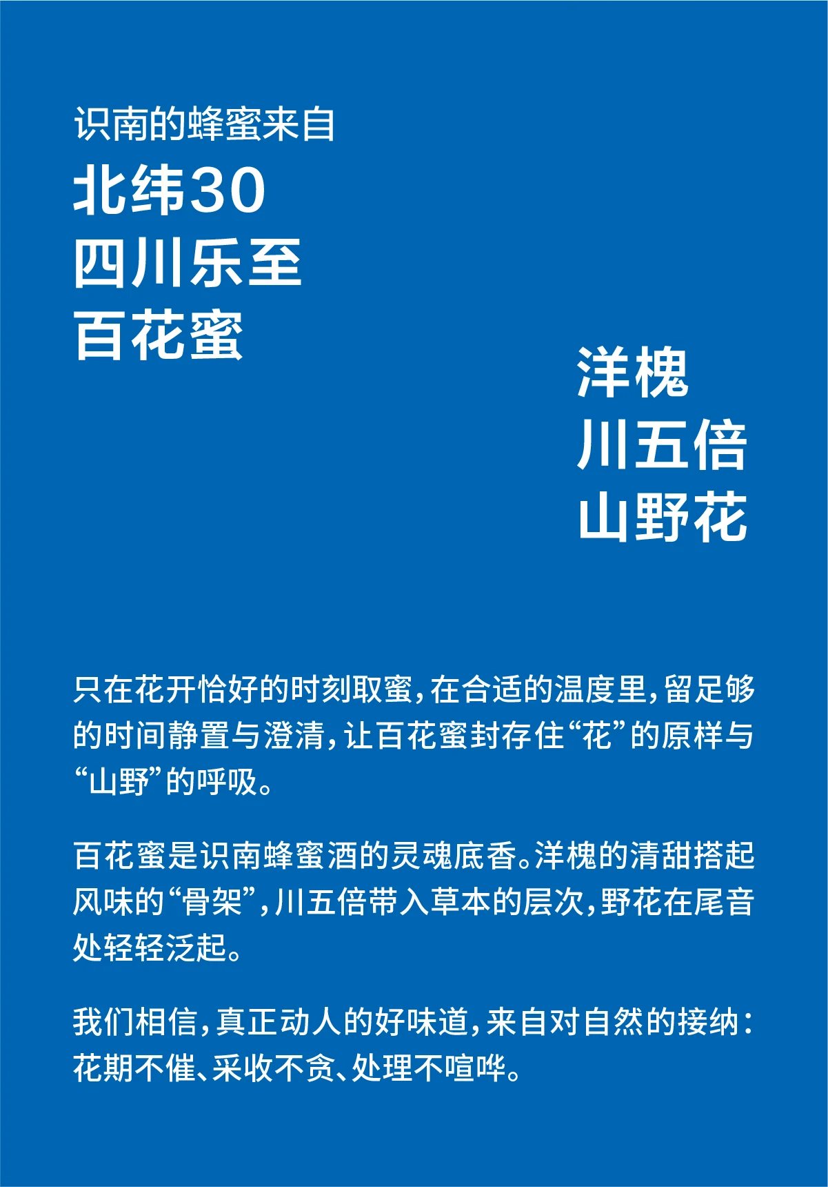 识南柠檬桑葚蜂蜜发酵酒2026官方电商详情视觉第7张