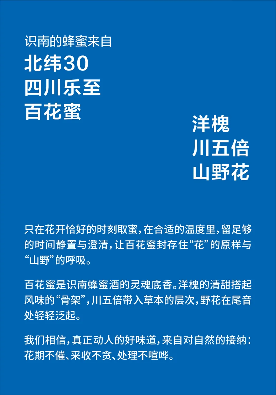 识南柚香菠萝蜂蜜发酵酒2026官方电商详情视觉第7张